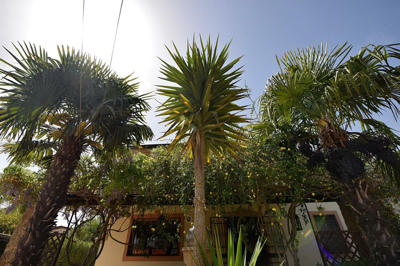 B&B Agave 64 Piazza Armerina Exterior photo